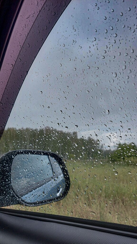 Penészes kárpit? Így mentsd meg az autó belsejét